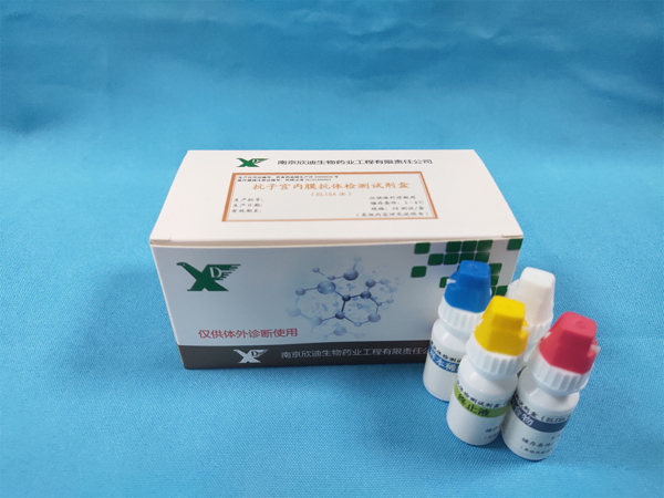 抗子宫内膜抗体检测试剂盒（ELISA法）